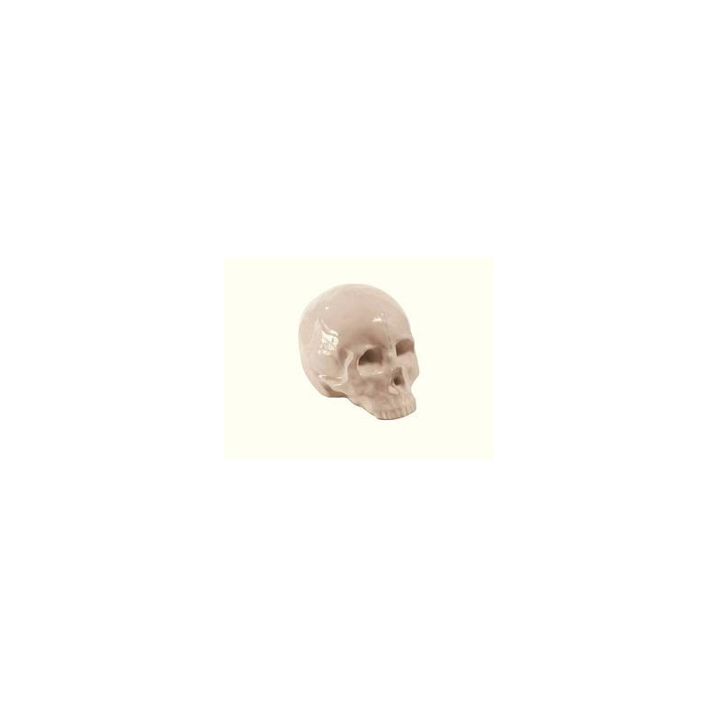  CALAVERA MEMORABILIA