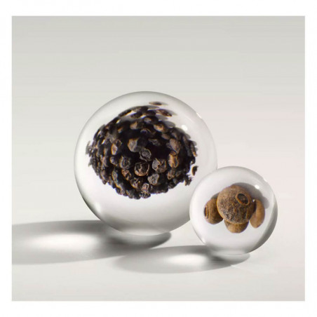 Black Pepper Edp 100 Ml | Molton Brown