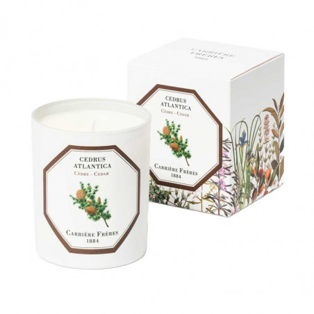 CEDAR SCENTED CANDLE