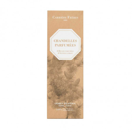 CEDAR SCENTED TAPER CANDLES