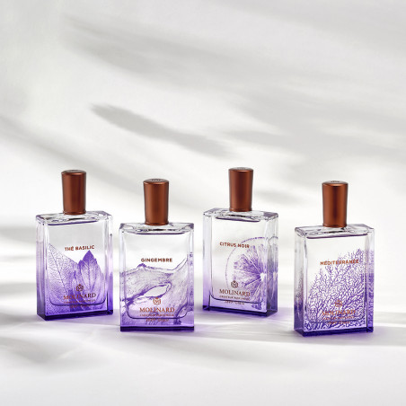 The Basilic Edp 75Ml | Molinard