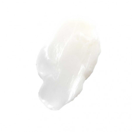 Deep Conditioning Paraben Free 178 Ml | Philip B