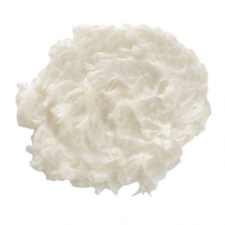 Peppermint Scalp Scrub 236 Ml | Philip B