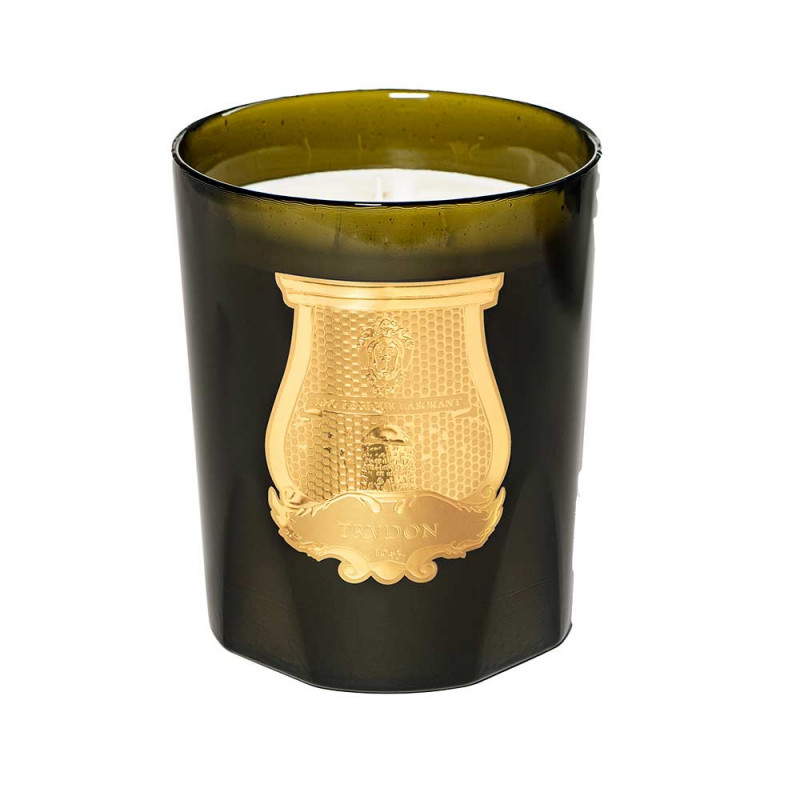 Ernesto Scented Candle 28Kg | Trudon