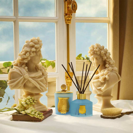 Versailles Diffuser Refill 300Ml | Trudon