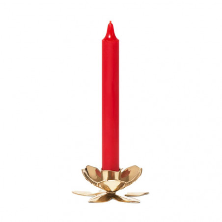 Flower Candlestick | Trudon