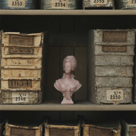 Marie Antoinette Bust Stone | Trudon