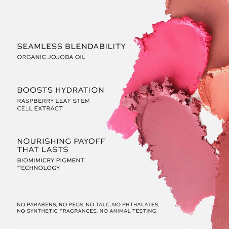 Baby Cheeks Blush Stick | Westman Atelier