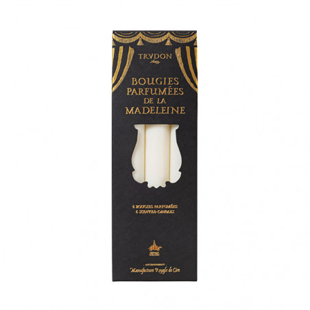 Serdar Fir Madeleine Taper Candle Box Of 6 | Trudon