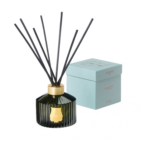 The Great Diffuser Ernesto | Trudon