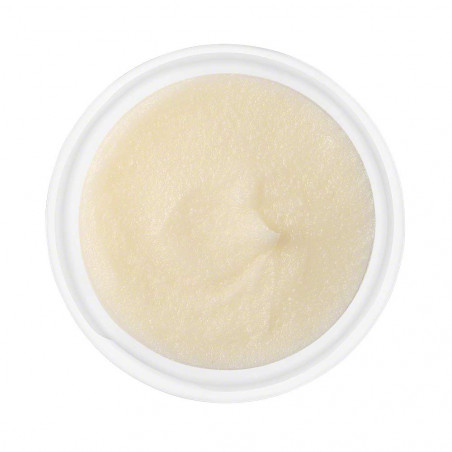 Primary Pomade | Valmont