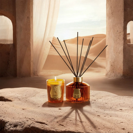 Altair Diffuser 350Ml | Trudon