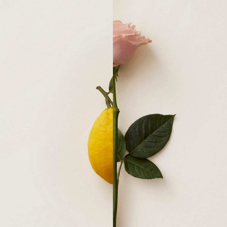 Rosa Limone Extrait De Parfum 50Ml | New Notes