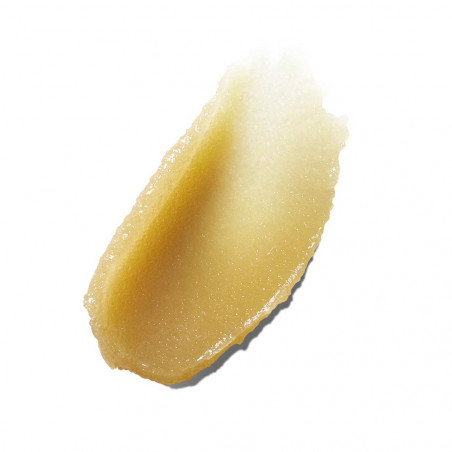 THE RENEWAL OIL EXFOLIATOR