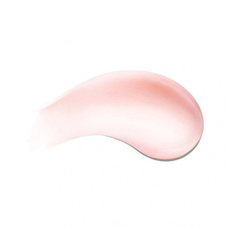 THE LIP VOLUMIZER