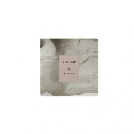Existence Edp 100Ml | Amouage