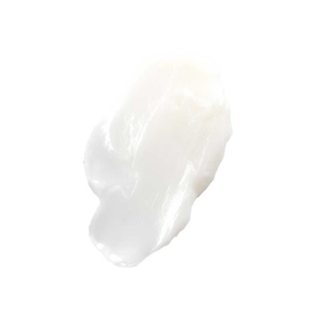 Deep Conditioning Paraben Free 178 Ml | Philip B