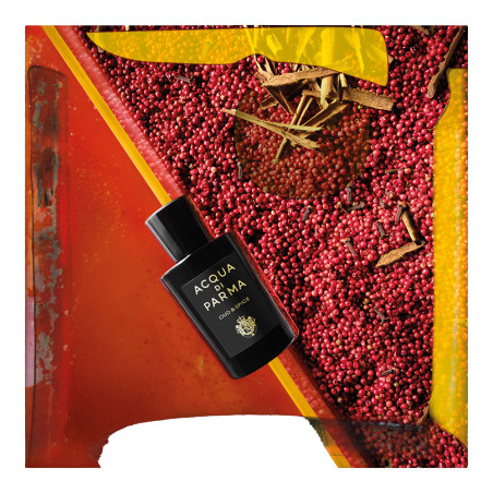 OUD & SPICE EAU DE PARFUM