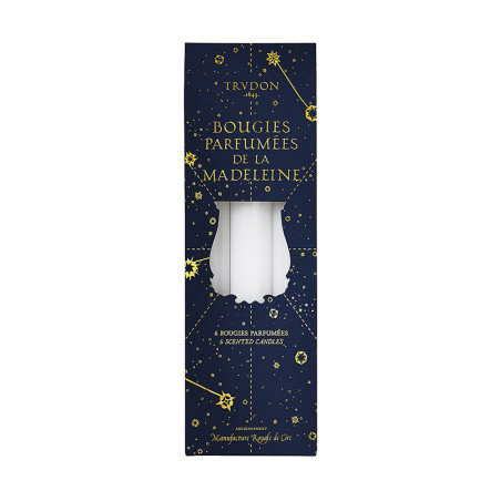 Fir Madeleine Taper Candle Xmas | Trudon