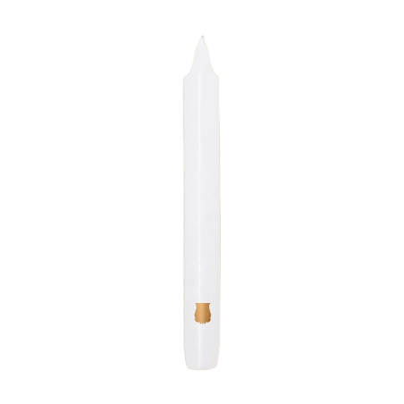 Fir Madeleine Taper Candle Xmas | Trudon