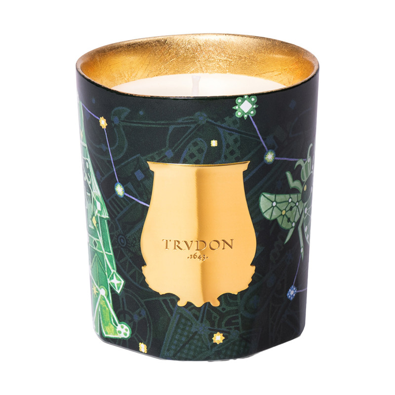Fir Scented Candle Xmas | Trudon
