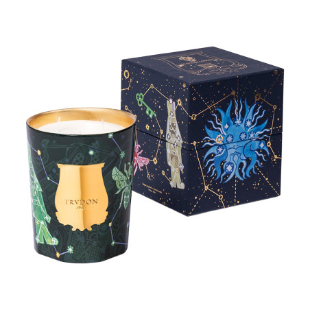 Fir Scented Candle Xmas | Trudon