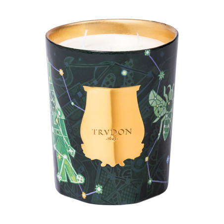 Fir Scented Candle Xmas | Trudon