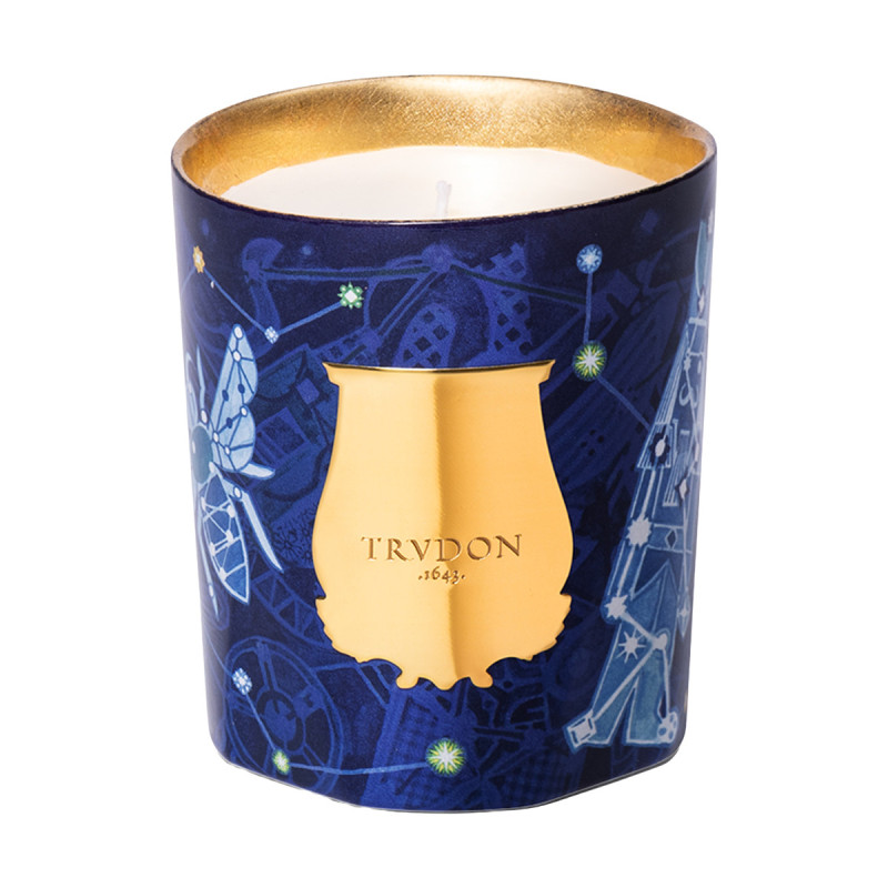 Louis Xiv Bust Stone | Trudon