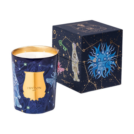 Louis Xiv Bust Stone | Trudon