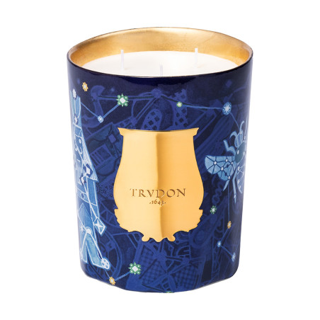 Louis Xiv Bust Stone | Trudon