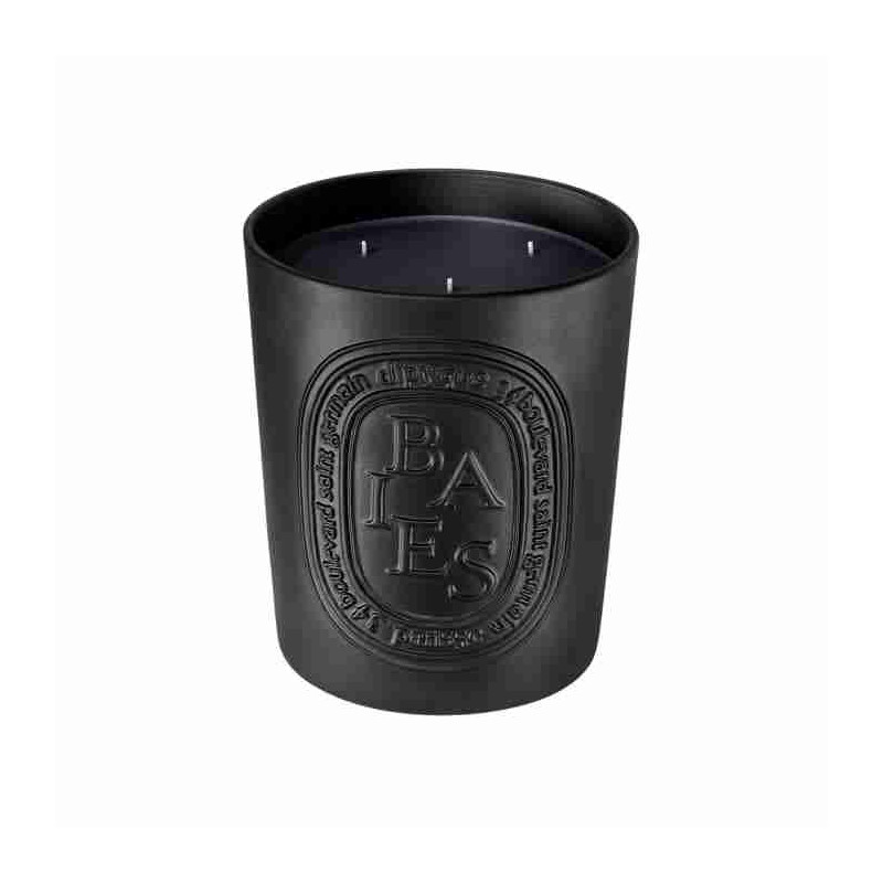 Porcelain Scented Candle Baies 600gr