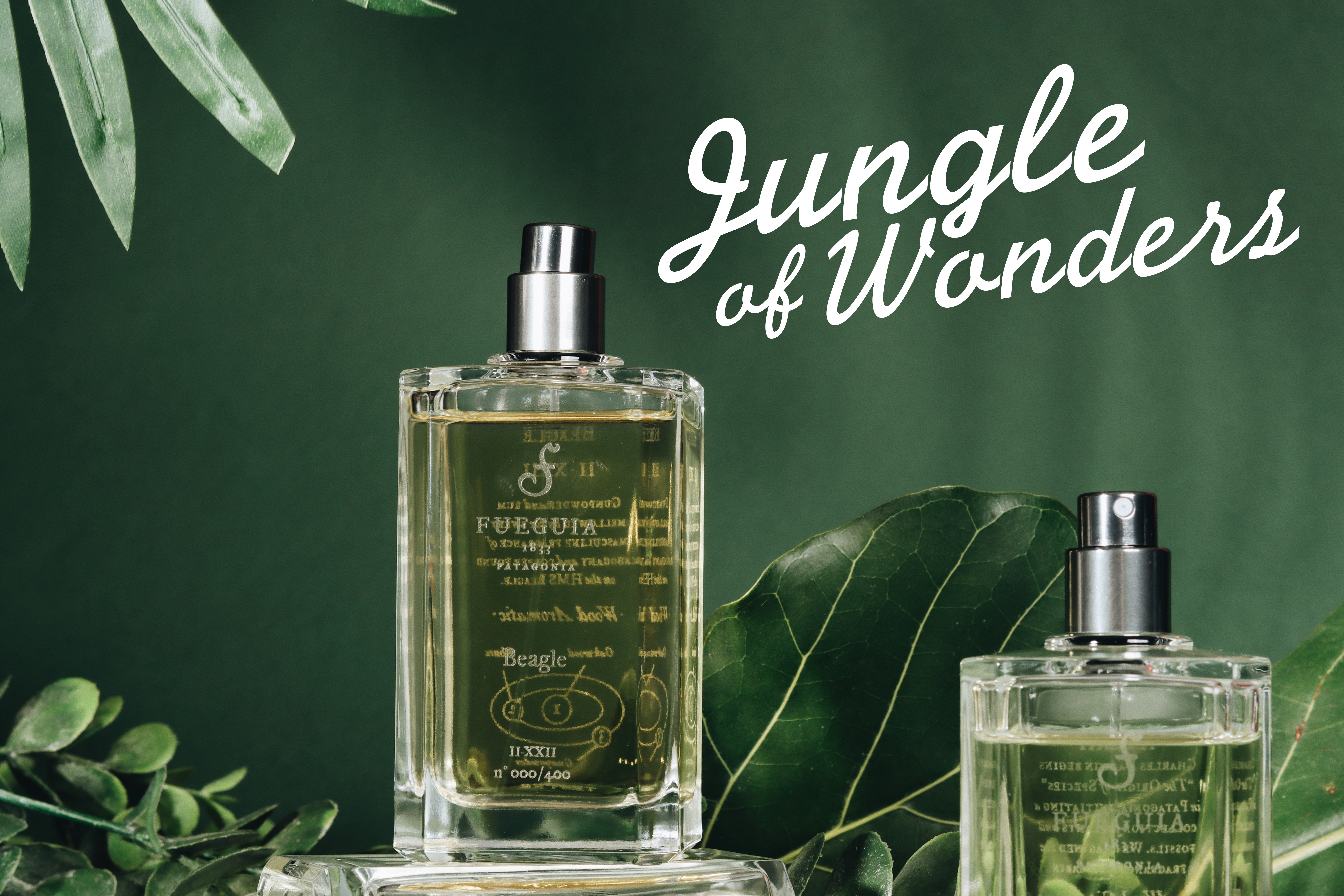 Jungle of Wonders